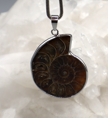Grand pendentif ammonite - pendentif,