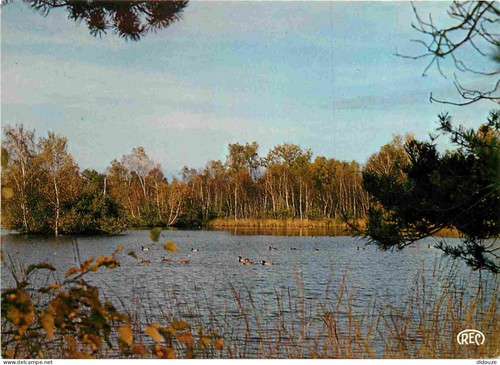 Carte postale indre - postale, 36