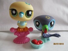 PETSHOP DUO : TOUCAN N°1906 +