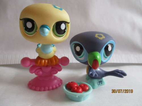 Petshop duo toucan 1906 - toucan, +