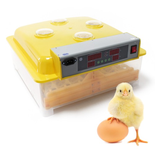 Couveuse automatique oeufs - couveuse, 48