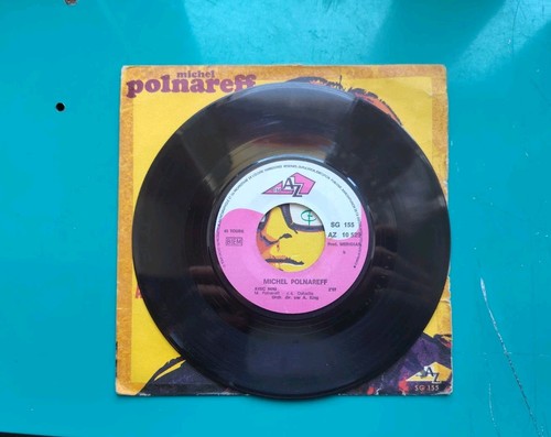 Michel polnareff train - michel,