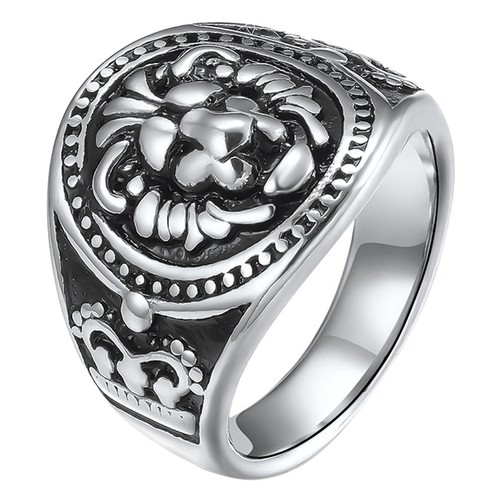 Punk biker mens lion - mens, head