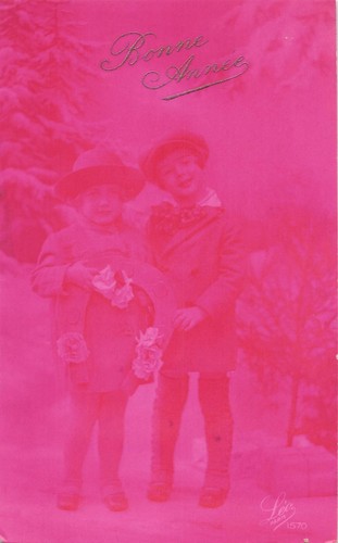 Rose bonne annee - cp,