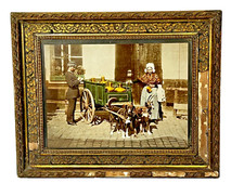 PHOTO ANCIENNE ANVERS LAITIÈRE FLAMANDE ATTELAGE DE CHIENS BELGIQUE XXème