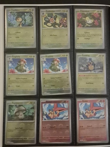 Choix cartes pokémon - cartes,