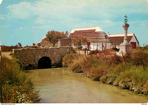 Carte postale camargue - 13,