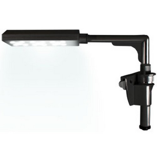 Trinity eclairage noir - trinity,