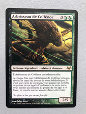 Mtg Carte Magic Eventide Sapling of Colfenor  French LP