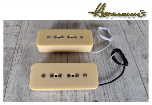 Ensemble micros alnico p - micros,