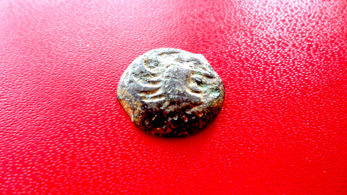 Bronze gaulois sénons - gaulois,