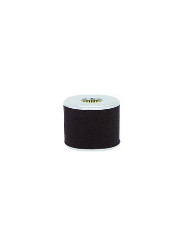 Filtre air compatible sdmo - air,