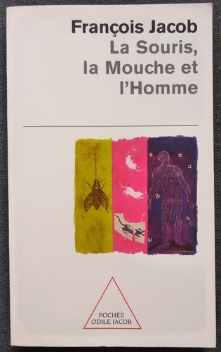 Souris mouche l - la, la
