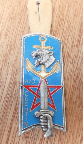 Insigne ensoa 110 - insigne,