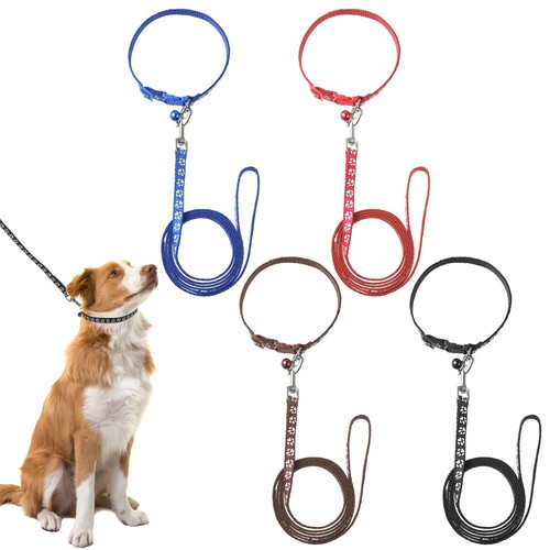 Lot colliers pour - 4, chiot
