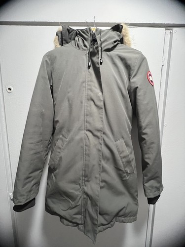 Canada goose - canada,