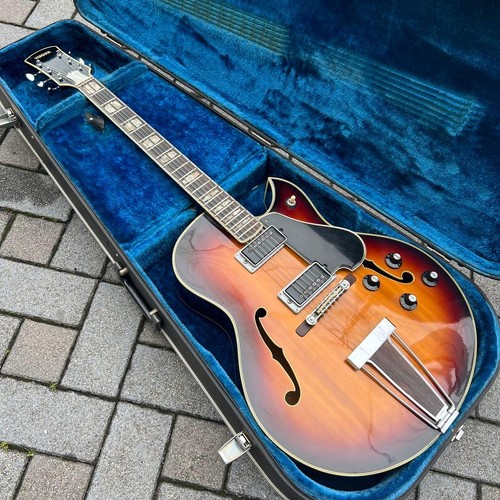 Acoustic electric guitar - acoustic,
