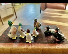 Collection canards - 7,