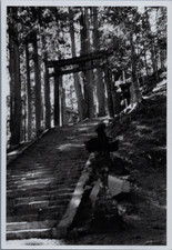Japon alpes japonaises mont - japon,,