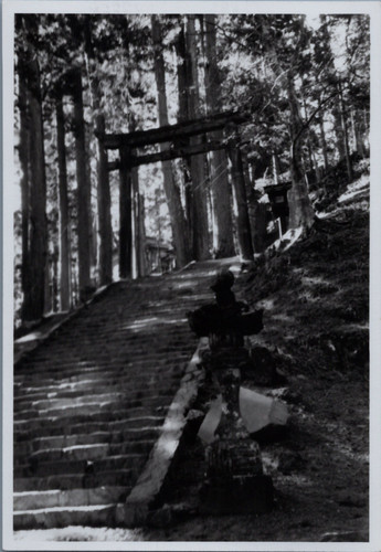 Japon alpes japonaises mont - japonaises,,