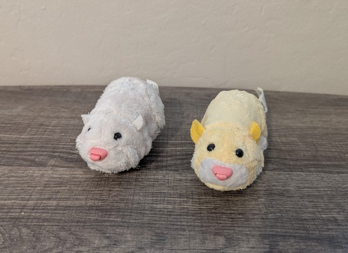 Zhu pets chunk - zhu, pipsqueak