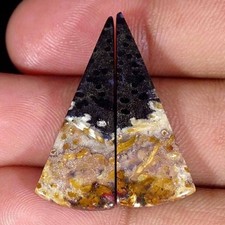 17.90Cts Naturel Pétrifié