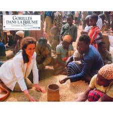 GORILLAS IN THE MIST Original Lobby Card N04 - 9x12 in. - 1988 - Michael Apted,