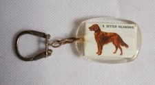 Porte clés chien - porte-clés,