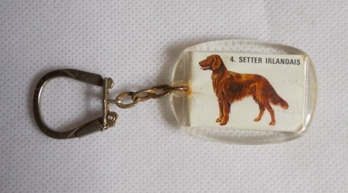 Porte clés chien setter - chien,