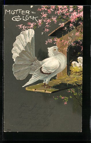Carte postale mère - de, pigeon