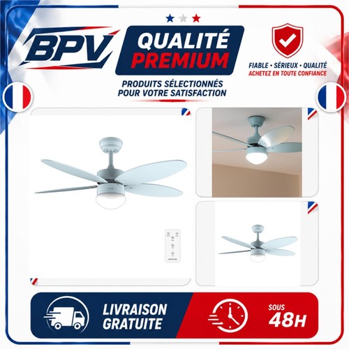 Ventilateur plafond cecotec - ventilateur,