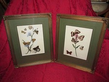 Vtg Old Antique PAIR Butterfly