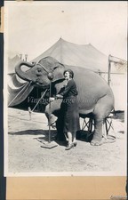 1931 Chicago Circus Elephant