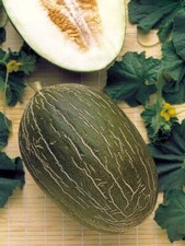 Lot De 10 Graines De Melon