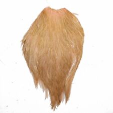 Plume de cou de coq pour