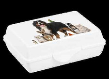 LOT DE 2 PETITES BOITES A