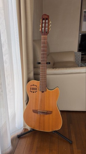 Godin multiac duet nylon - nylon, with