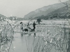 MARILU TOLO ANDRE LAWRENCE LE