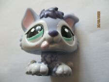 PETSHOP CHIOT HUSKY N°1810