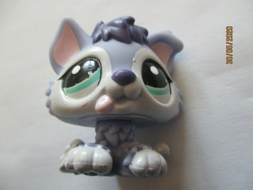 Petshop chiot husky - petshop, n°1810