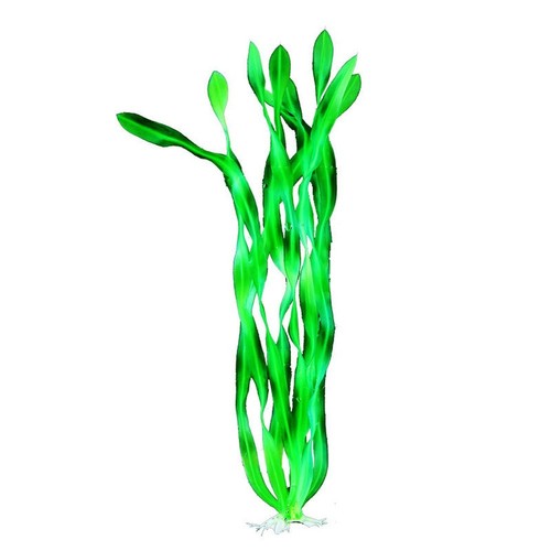 Ensemble plantes aquatiques - plantes,