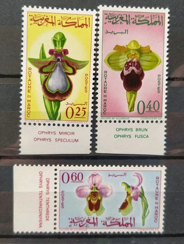 Série timbres maroc - 3,