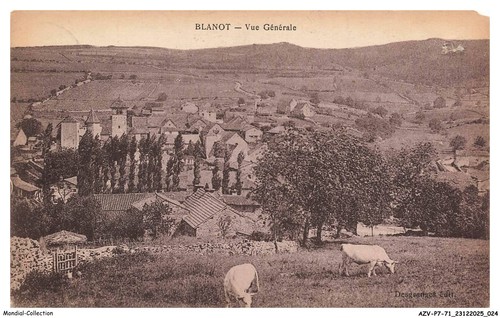 Azvp7 0635 blanot vue - azvp7-0635-71,