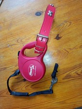 Ensemble laisse enrouleur + collier Chien, état neuf