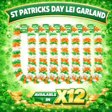 12 X Journée st Patrick