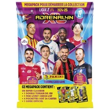 Trading Card Panini Foot -