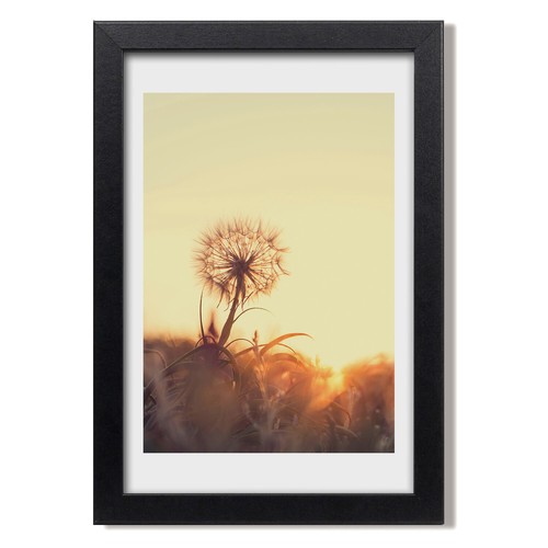 Tulup photo 20x30cm - 20x30cm, mdf
