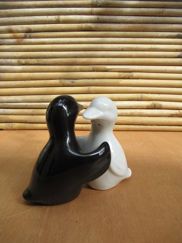 Duo saliere poivriere - saliere,