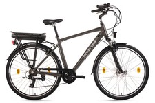 Vélo Electrique Homme 28'' Hollandia Zagon Gris 250W Li-Ion 36V/13 6 Vit 187E