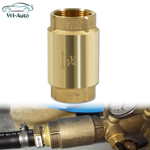 Brass pump one way - one, back